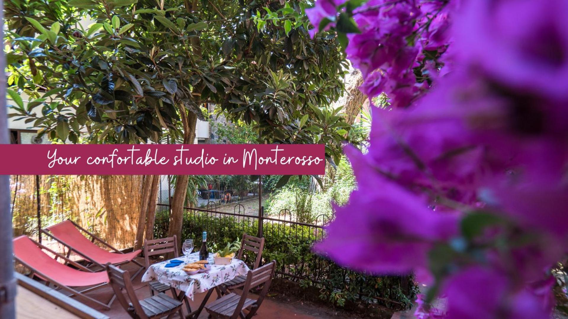 Il Giardino Di Ada Ground Floor Studio With Ac And Patio Monterosso al Mare Extérieur photo